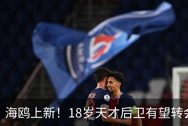 海鸥上新！18岁天才后卫有望转会英格兰，天赋顶级布莱顿要买